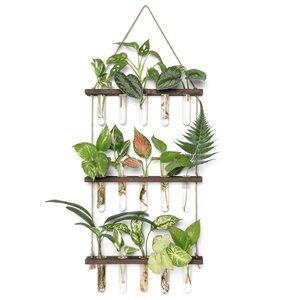 ✨BNWT - 3 Tiered Wood Plant Propagation Wall Hanging Terrarium with 16 tubes✨